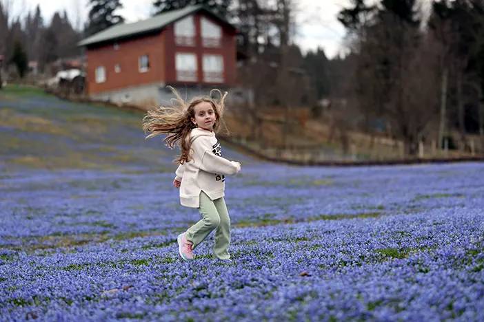 Trabzon'da Kadıralak Yaylası’nda, ‘mavi yıldız’ zamanı! 2